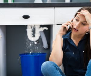 About Water Leak Detection Pros Paradise, TX